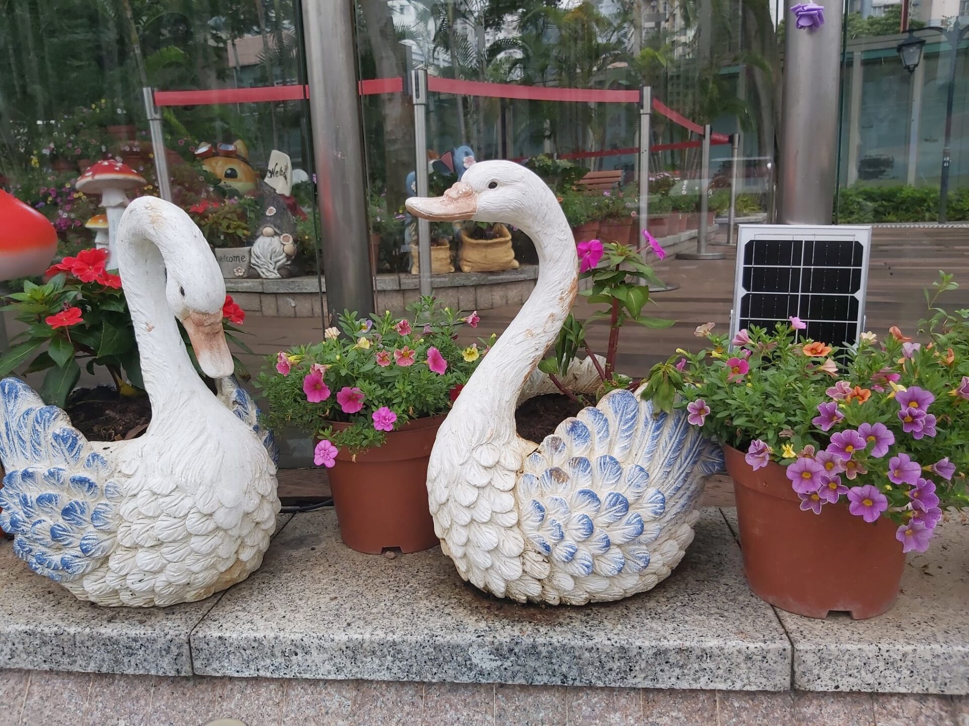 https://www.fa.gov.hk/桑蓓斯鳳仙花